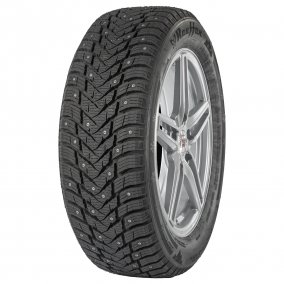 215/55R16 RAUFFAN SNOWMASTER S2