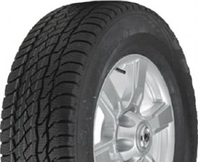 235/55R17 Viatti Bosco S/T